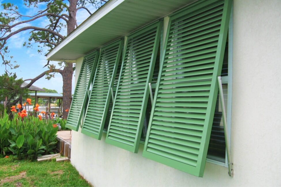 Image1