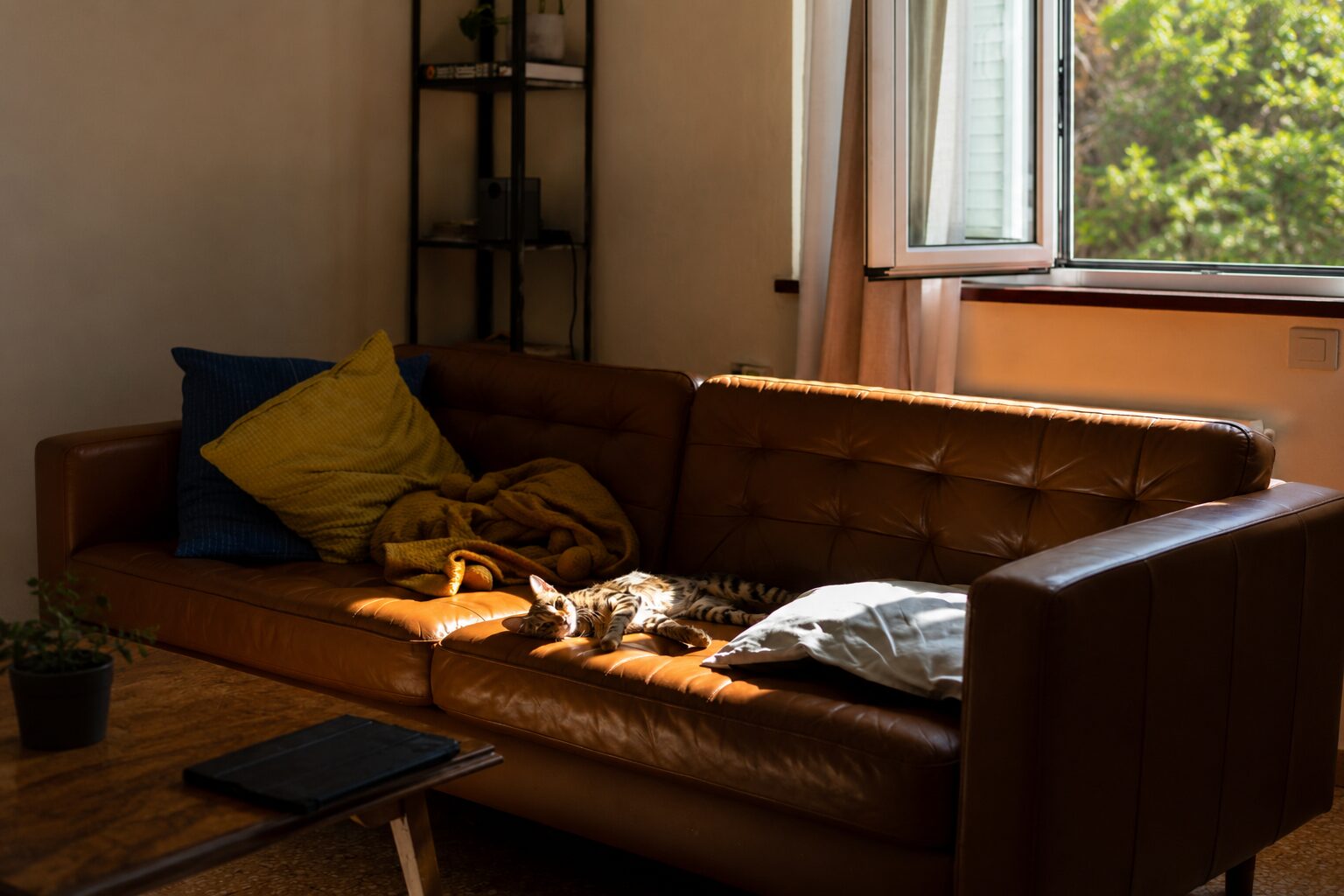 sleeper sofa, modern sleeper sofa, best sleeper sofa 2023, stylish foldable sofa, space-saving furniture, convertible sofa beds, luxury sleeper sofa options, sleeper sofa reviews, affordable sleeper sofas, sleeper sofa comparison